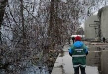 Шкода довкіллю на 13 мільйонів гривень: наслідки удару БпЛА по підприємству на Чернігівщині