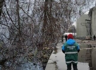 Шкода довкіллю на 13 мільйонів гривень: наслідки удару БпЛА по підприємству на Чернігівщині