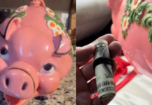 Женщина купила копилку в секонд-хенде: внутри оказались тысячи долларов (видео)