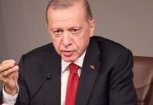 Эрдоган предостерег РФ и Украину от атак в Черном море