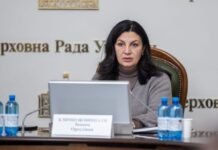 Два комитета Рады рекомендуют профильным министерствам проводить экологические оценки при строительстве ВЭС — Климпуш-Цинцадзе