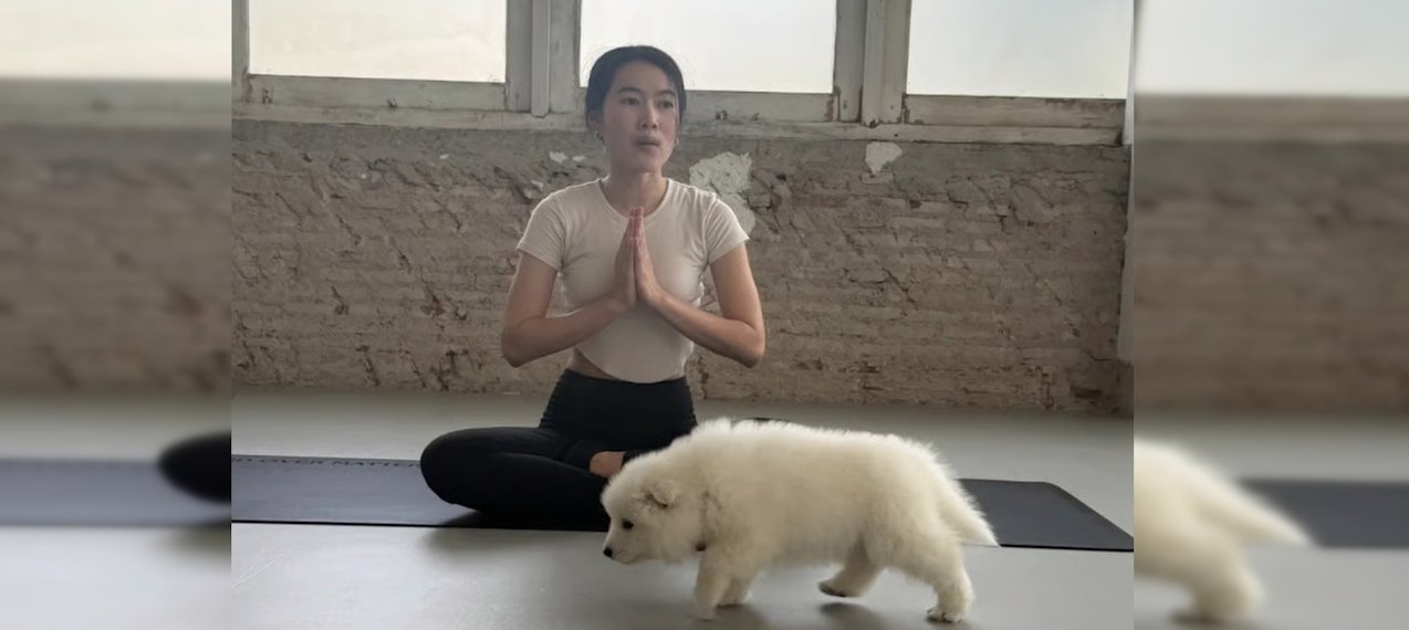 Самое милое снятие стресса: студия йоги со щенками и котятами стала вирусной в сети (фото)