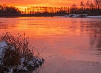 Аномальний листопад: рівень води в Десні поблизу Чернігова підвищився майже на півметра