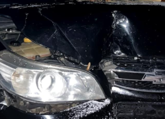 В’їхав у дерево і втік: у Чернігові сталася ДТП