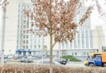 На Чернігівщину йде арктичне похолодання: до мінус 13º вночі