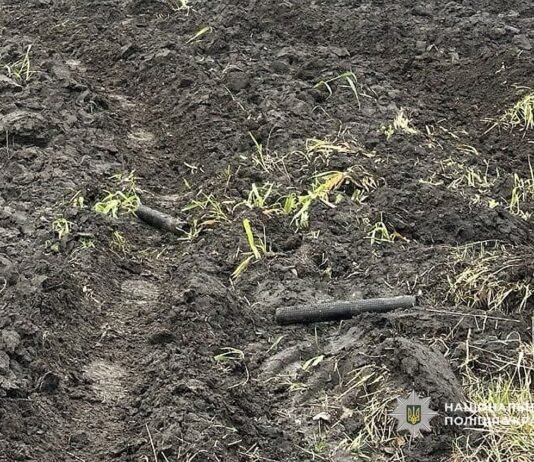 У Корюківському районі знайшли залишки російського БпЛА з касетними боєприпасами (Фото)