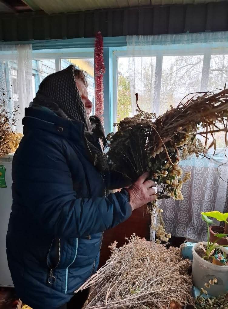 Традиції Подесення: мешканка Чернігівщини власноруч готує зілля