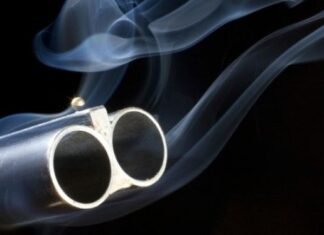 Застрелив собаку та вивіз тіло в багажнику: поліція Чернігівського району розслідує жорстоке поводження з твариною