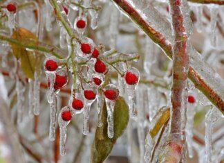 Синоптики дали прогноз погоди на три дні: чи підуть в Україні морози на спад