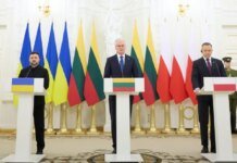 Зеленський у Вільнюсі обговорив енергетичну підтримку та ППО з лідерами Литви і Польщі