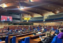 У ПАРЄ проголосували важливу для України резолюцію: Мезенцева розкрила деталі