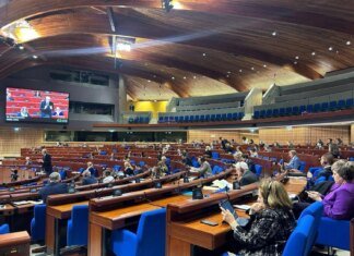 У ПАРЄ проголосували важливу для України резолюцію: Мезенцева розкрила деталі