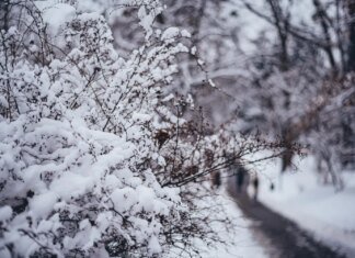 Вдарять морози до -28°: чого чекати від погоди в Україні на вихідні