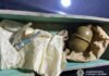 Гранати із запалами виявили у мешканців Прилук та Ніжинського району