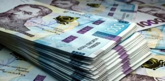 Податкові махінації на майже 14 млн грн: директор підприємства на Чернігівщині отримав підозру