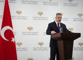 Турция будет настаивать на безопасности Черного моря на саммите по Украине в Париже