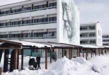 Reuters: Трамп задумал заплатить до $100 000 каждому жителю Гренландии за присоединение к США