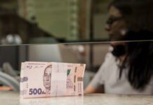 НБУ зафиксировал резкий рост количества наличных денег в обращении в 2025 году: причины