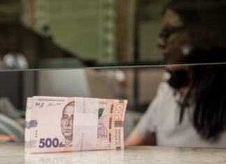 НБУ зафиксировал резкий рост количества наличных денег в обращении в 2025 году: причины
