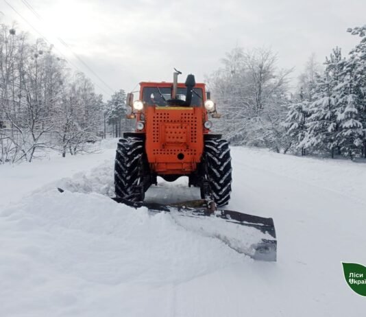 На півночі Чернігівщини лісівники допомагають розчищати дороги