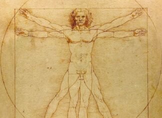 Сколько отверстий в человеческом теле: вопрос оказался сложнее, чем все думали