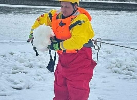 Примерз до льоду: у Чернігові рятувальники звільнили лебедя з крижаної пастки