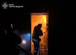 На Чернігівщині сталася масштабна пожежа після російської атаки (Фото, Відео)