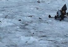 Нова тактика ворога: у центрі міста на Чернігівщині виявили FPV-дрон з бойовою частиною