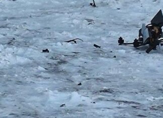 Нова тактика ворога: у центрі міста на Чернігівщині виявили FPV-дрон з бойовою частиною