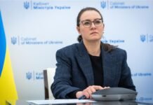 «Обеспечит питание»: детям с инвалидностью закупят 10 тысяч портативных зарядных станций, — Свириденко