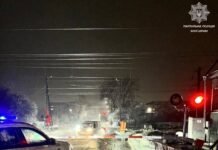 Каникулы до 19 января или дистанционка: Кабмин срочно предлагает изменить учебный процесс в Украине