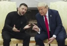 Украина не хочет выглядеть «содержанкой»: как Зеленский меняет риторику в диалоге с Трампом