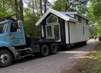 Даже нельзя встать: женщина удивила всех своим крошечным домом (видео)