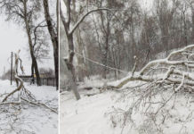 Обірвані дроти, замикання та зламані опори: енергетики Чернігівщини ліквідовують наслідки негоди