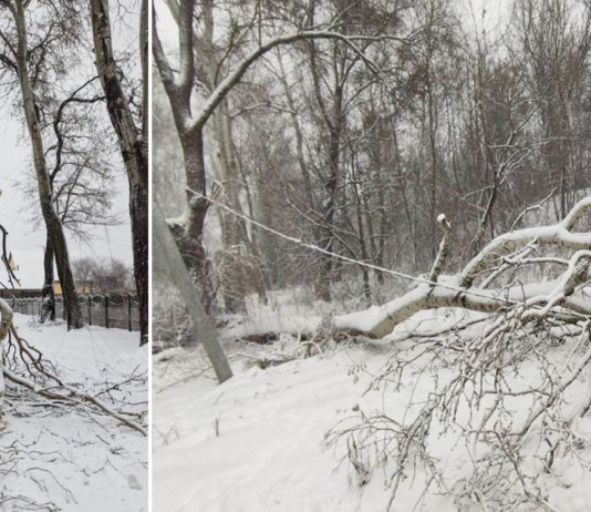 Обірвані дроти, замикання та зламані опори: енергетики Чернігівщини ліквідовують наслідки негоди