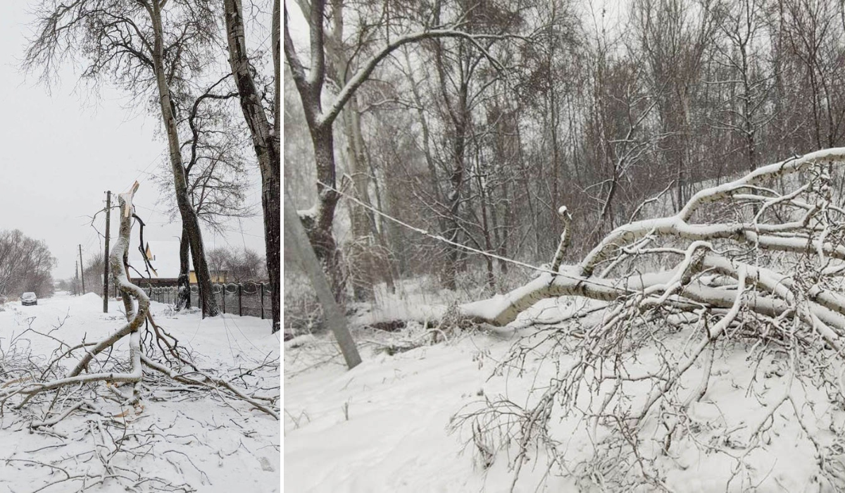 Обірвані дроти, замикання та зламані опори: енергетики Чернігівщини ліквідовують наслідки негоди