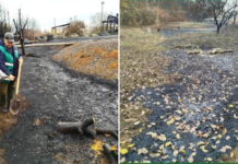 Понад 127 млн грн шкоди довкіллю: наслідки атаки дрона у Прилуках на Чернігівщині