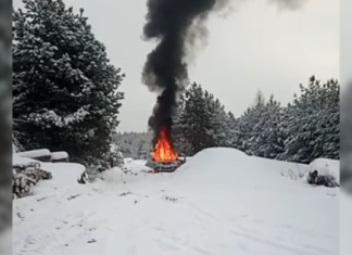 На прикордонні Чернігівщини FPV-дрон влучив у службовий автомобіль лісівників