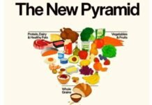 Нова харчова піраміда США: у центрі білок і молочні продукти, а алкоголь радять просто обмежувати