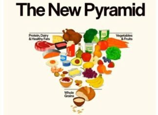 Нова харчова піраміда США: у центрі білок і молочні продукти, а алкоголь радять просто обмежувати