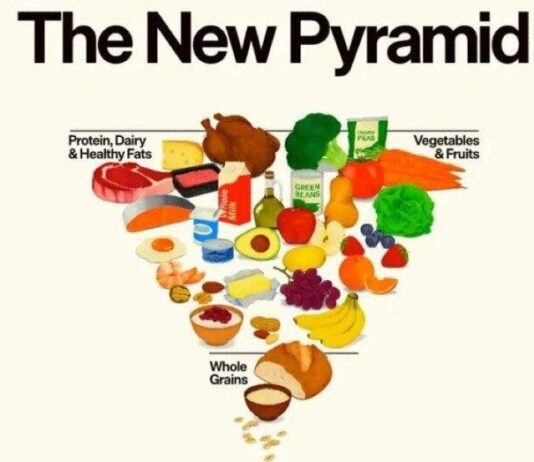 Нова харчова піраміда США: у центрі білок і молочні продукти, а алкоголь радять просто обмежувати