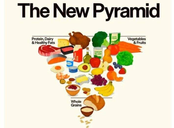 Нова харчова піраміда США: у центрі білок і молочні продукти, а алкоголь радять просто обмежувати