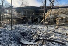 Росія вдарила КАБом по екопарку під Харковом: загинули птахи поранені леви