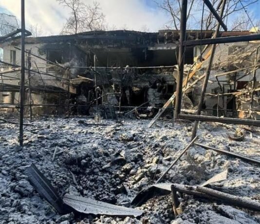 Росія вдарила КАБом по екопарку під Харковом: загинули птахи поранені леви