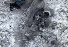 FPV-дрони, міномети й термобаричні заряди: РФ атакувала три громади Чернігівщини