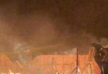 Ворог вдарив безпілотниками по фермерському господарству у Чернігівському районі (Фото)