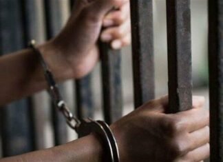 У Чернігові чоловіка засудили до 12 років за вбивство матері