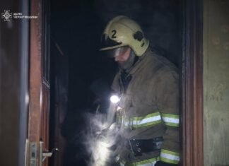 У Чернігові котика врятували із палаючого будинку