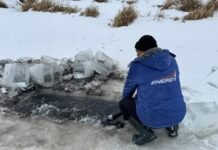 На озерах Чернігівщини тривають профілактичні заходи проти зимової задухи риби