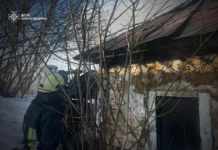 Трагедія через необережне куріння на Чернігівщині